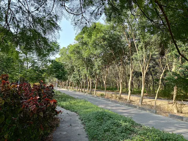 溪州公園森林區 - 自行車道