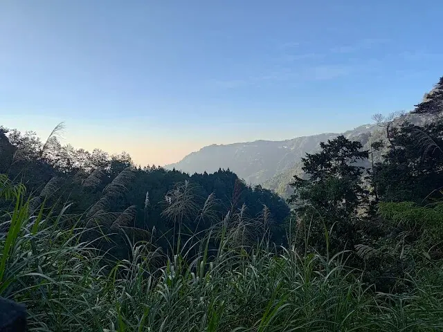 杉林溪森林生態渡假園區 - 青龍蕨類步道