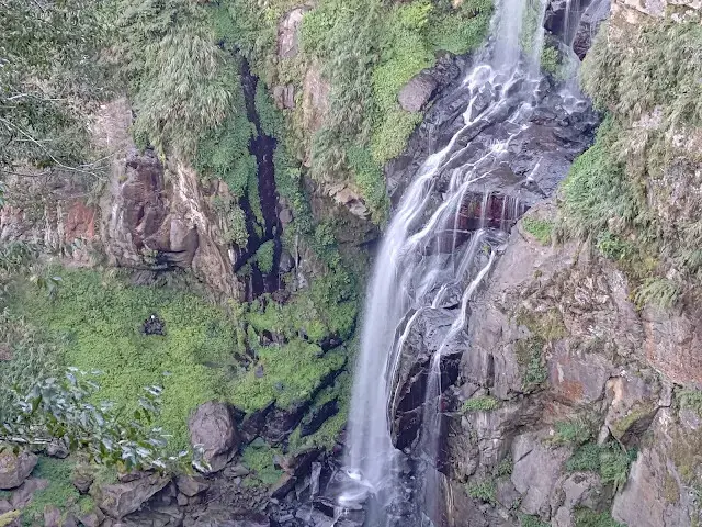 杉林溪森林生態渡假園區 - 青龍蕨類步道 - 青龍瀑布
