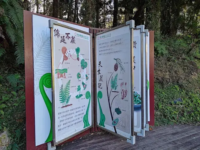 杉林溪森林生態渡假園區 - 青龍蕨類步道 - 導覽書