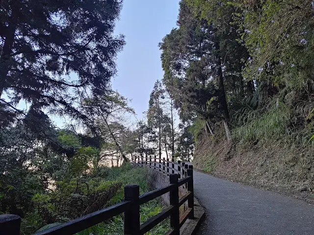 杉林溪森林生態渡假園區 - 青龍蕨類步道