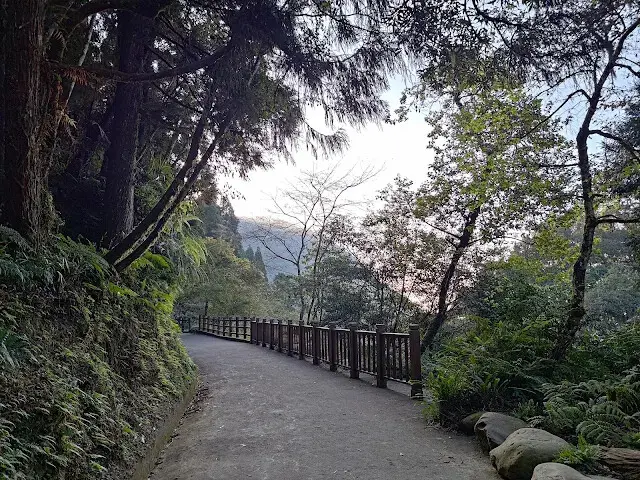 杉林溪森林生態渡假園區 - 青龍蕨類步道 - 福亭