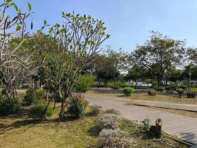 溪州公園 - 綠意湖