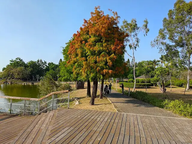 溪州公園 - 綠意湖