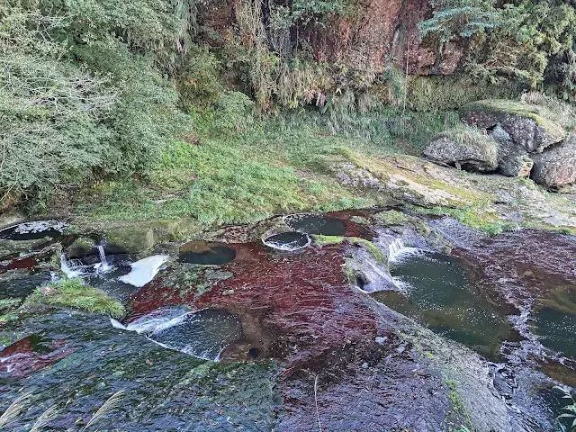 杉林溪森林生態渡假園區 - 石井磯步道 - 母愛石