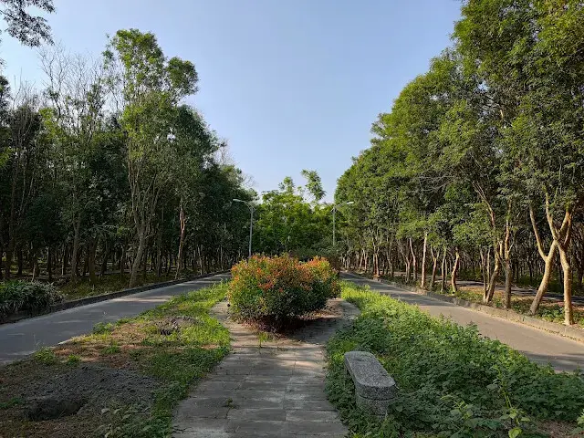 溪州公園森林區 - 自行車道