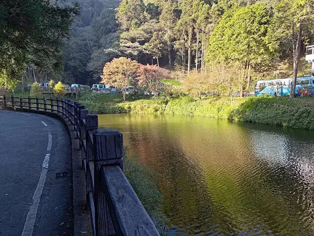 杉林溪森林生態渡假園區 - 青龍蕨類步道