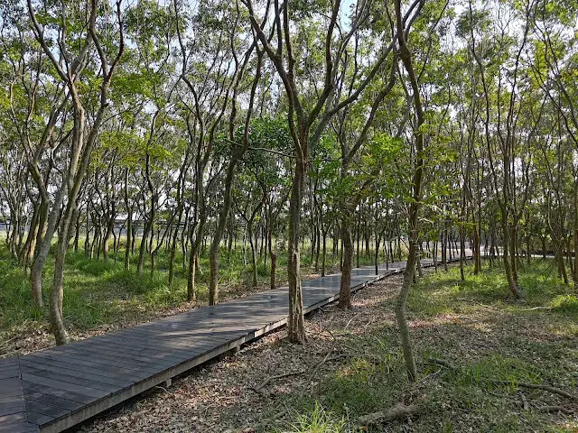 溪州公園森林區 - 「芬多精步道」二號