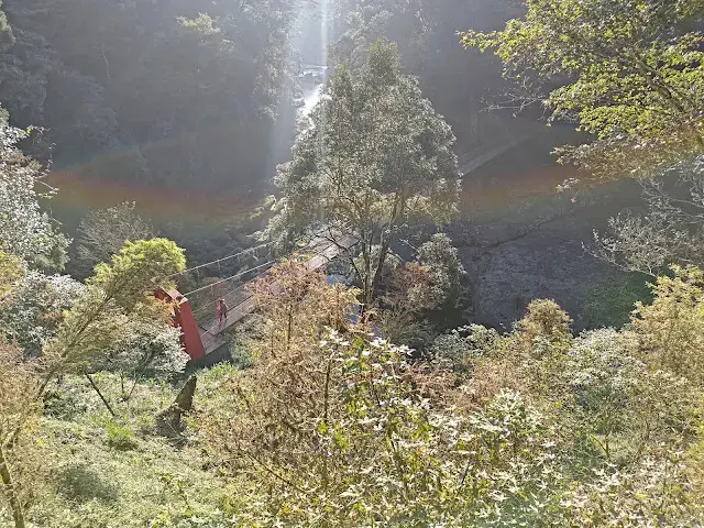 杉林溪森林生態渡假園區 - 青龍蕨類步道 - 欣悅台