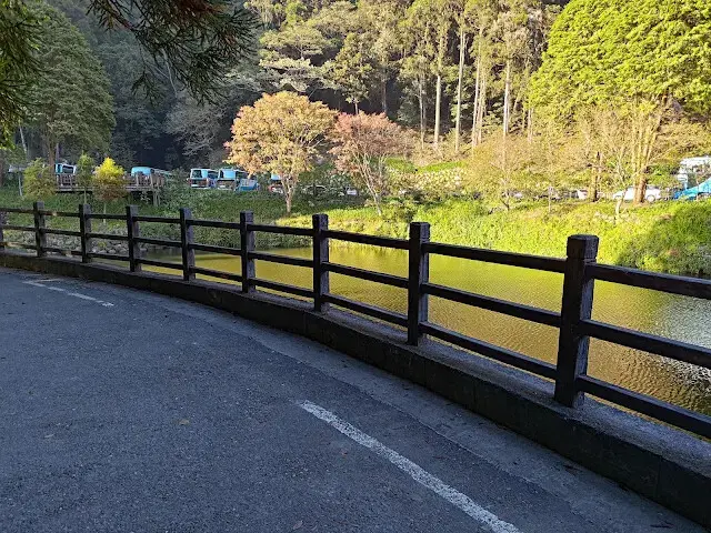 杉林溪森林生態渡假園區 - 青龍蕨類步道