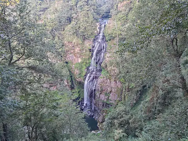 杉林溪森林生態渡假園區 - 青龍蕨類步道 - 青龍瀑布