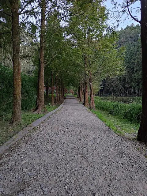杉林溪森林生態渡假園區 - 石井磯步道