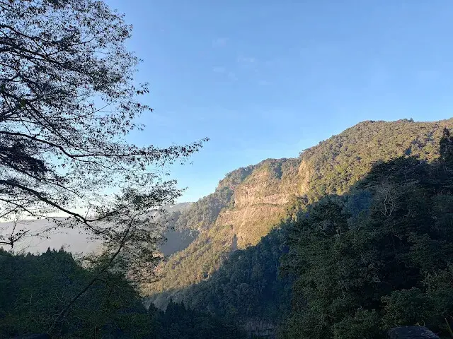 杉林溪森林生態渡假園區 - 青龍蕨類步道