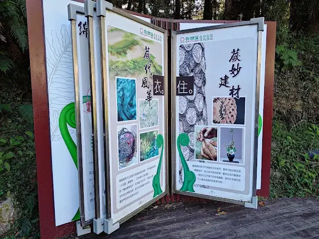 杉林溪森林生態渡假園區 - 青龍蕨類步道 - 導覽書