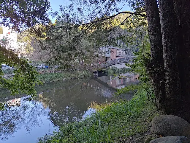 杉林溪森林生態渡假園區 - 青龍蕨類步道 - 安和橋