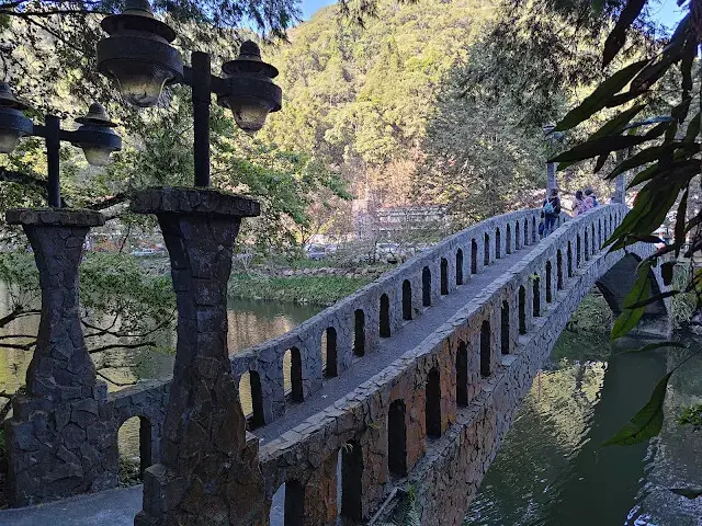 杉林溪森林生態渡假園區 - 青龍蕨類步道 - 安和橋