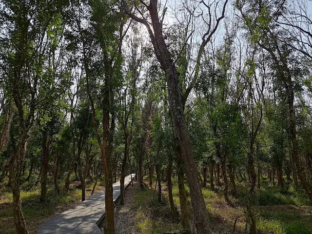 溪州公園森林區 - 芬多精步道