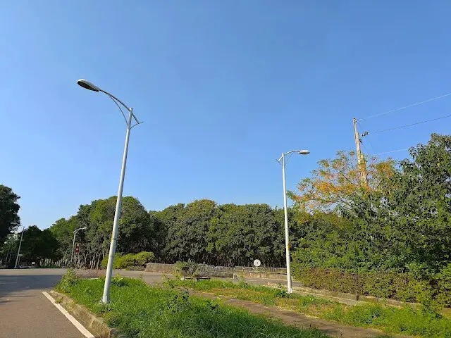 溪州公園森林區