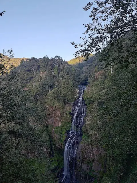 杉林溪森林生態渡假園區 - 青龍蕨類步道 - 青龍瀑布