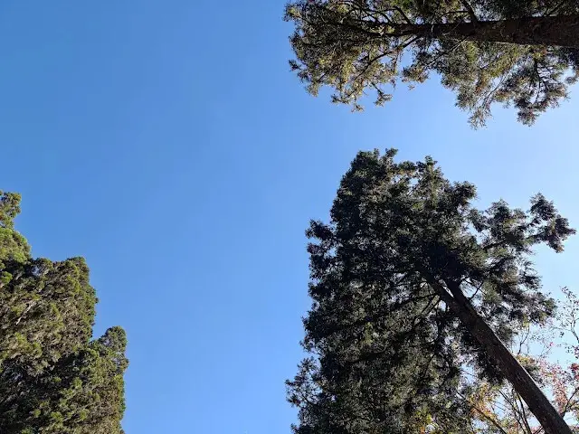 杉林溪森林生態渡假園區 - 停車場