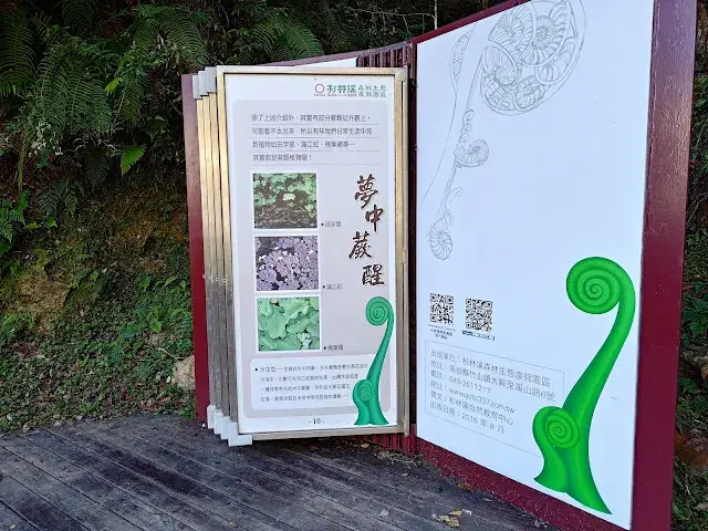 杉林溪森林生態渡假園區 - 青龍蕨類步道 - 導覽書