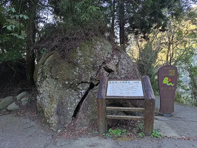 杉林溪森林生態渡假園區 - 青龍蕨類步道 - 擎天劈