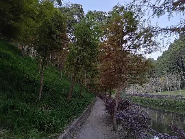 杉林溪森林生態渡假園區 - 石井磯步道