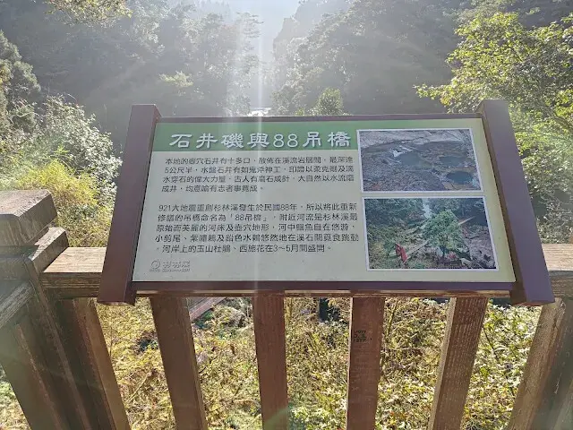 杉林溪森林生態渡假園區 - 青龍蕨類步道 - 欣悅台