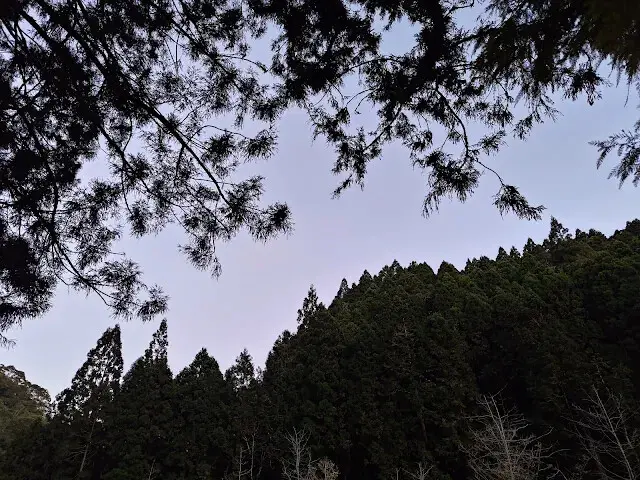 杉林溪森林生態渡假園區 - 石井磯步道 - 銀杏湖