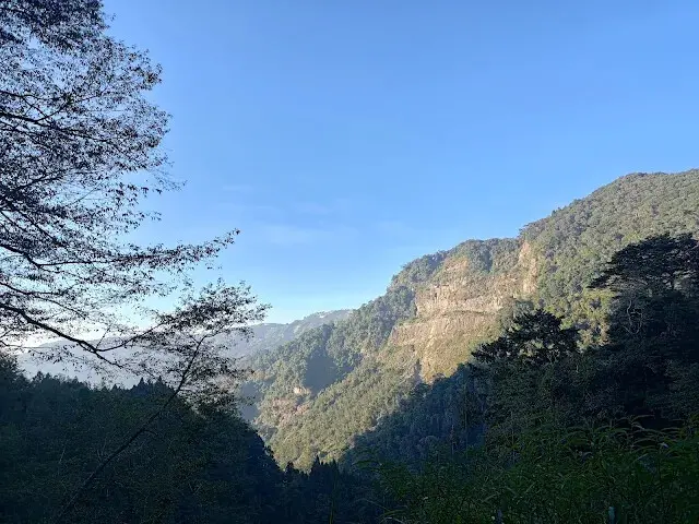 杉林溪森林生態渡假園區 - 青龍蕨類步道