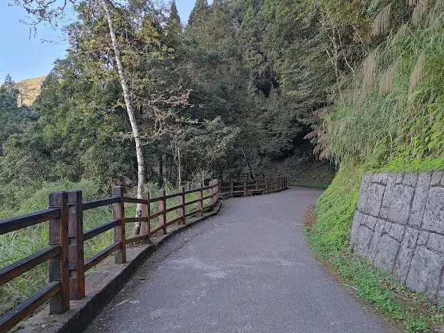 杉林溪森林生態渡假園區 - 青龍蕨類步道