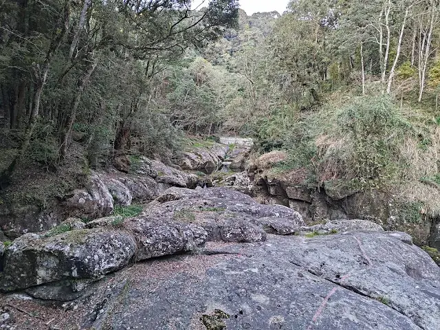 杉林溪森林生態渡假園區 - 石井磯步道 - 88 吊橋