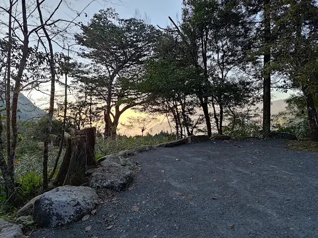 杉林溪森林生態渡假園區 - 青龍蕨類步道