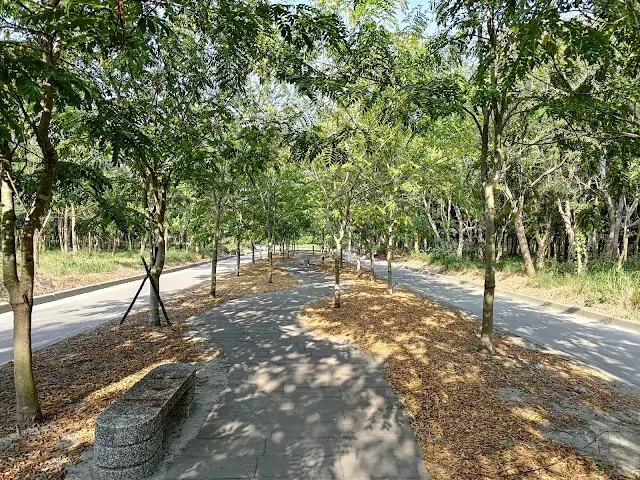 溪州公園森林區 - 自行車道