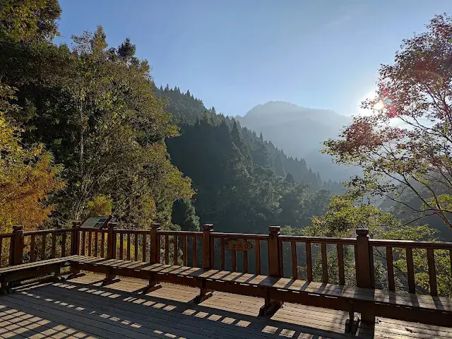 杉林溪森林生態渡假園區 - 青龍蕨類步道 - 欣悅台