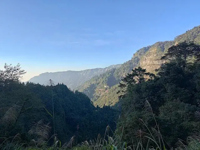 杉林溪森林生態渡假園區 - 青龍蕨類步道