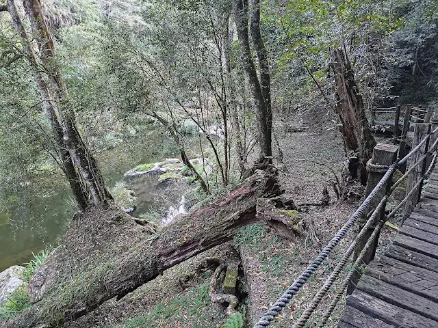 杉林溪森林生態渡假園區 - 石井磯步道