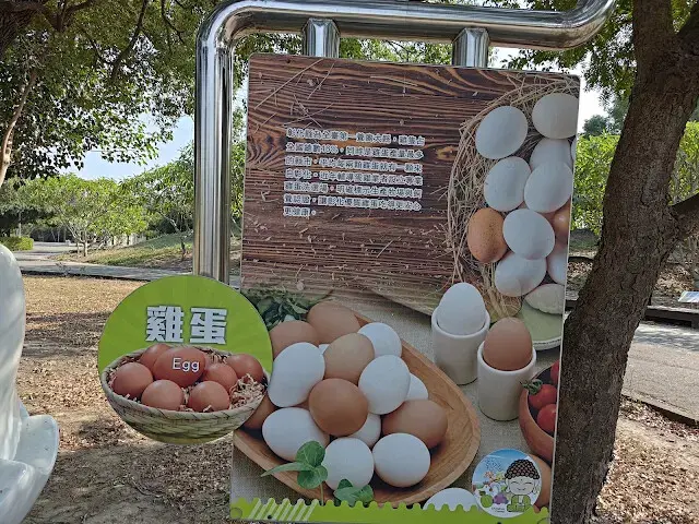 溪州公園 - 雞蛋