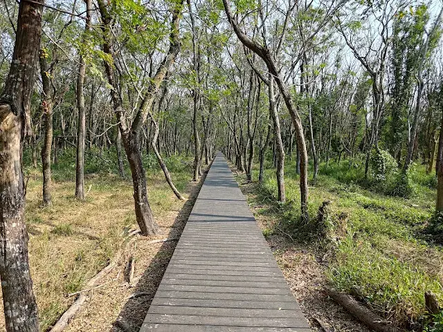 溪州公園森林區 - 芬多精步道