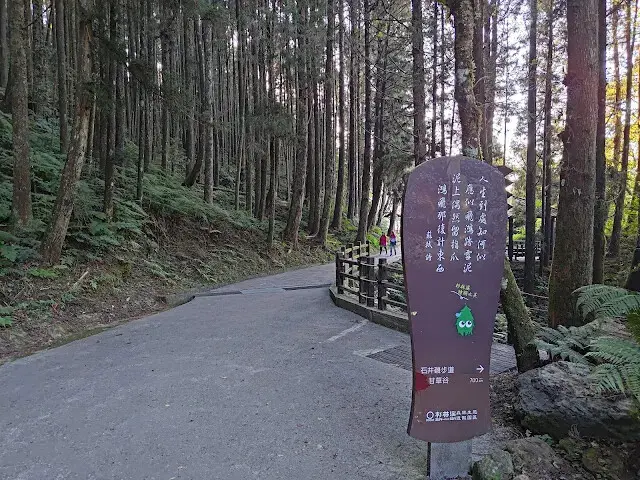 杉林溪森林生態渡假園區 - 青龍蕨類步道 - 福亭