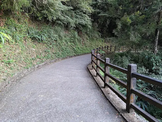 杉林溪森林生態渡假園區 - 青龍蕨類步道