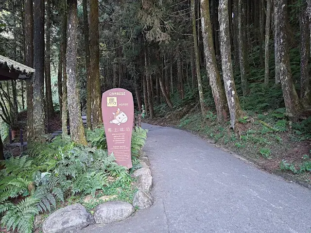 杉林溪森林生態渡假園區 - 青龍蕨類步道