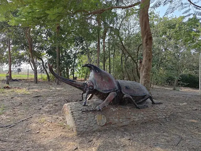 溪州公園 - 獨角仙