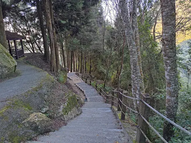 杉林溪森林生態渡假園區 - 青龍蕨類步道