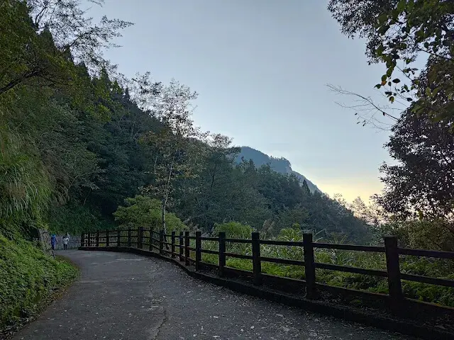 杉林溪森林生態渡假園區 - 青龍蕨類步道