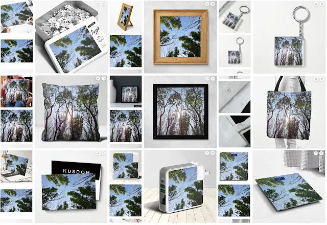 大漠國渡 - 商品小舖 (KUSDOM)