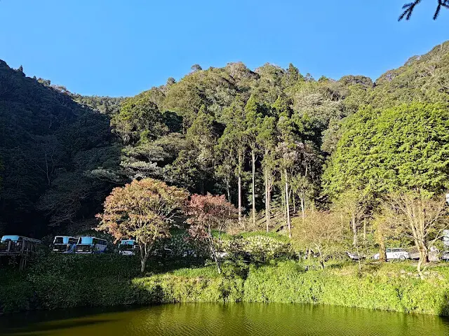 杉林溪森林生態渡假園區 - 青龍蕨類步道