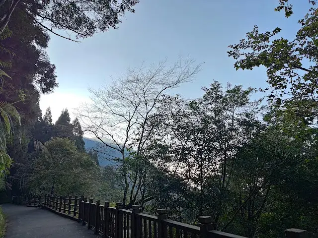 杉林溪森林生態渡假園區 - 青龍蕨類步道 - 福亭