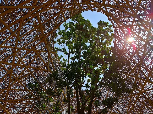 溪州公園 - 草原區