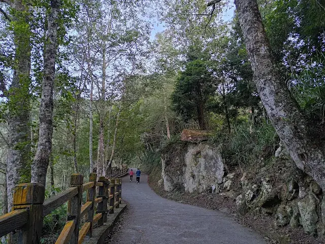杉林溪森林生態渡假園區 - 青龍蕨類步道